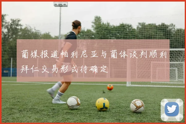 葡媒报道帕利尼亚与葡体谈判顺利拜仁交易形式待确定