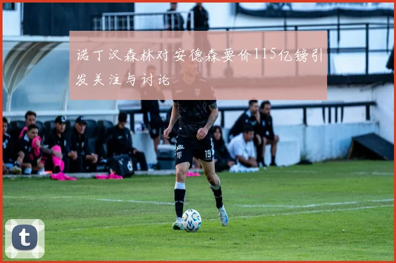诺丁汉森林对安德森要价115亿镑引发关注与讨论